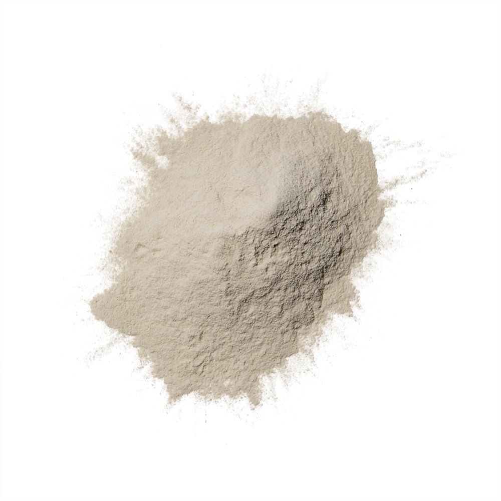 Magic Dust Dry Shampoo - Reed Clarke
