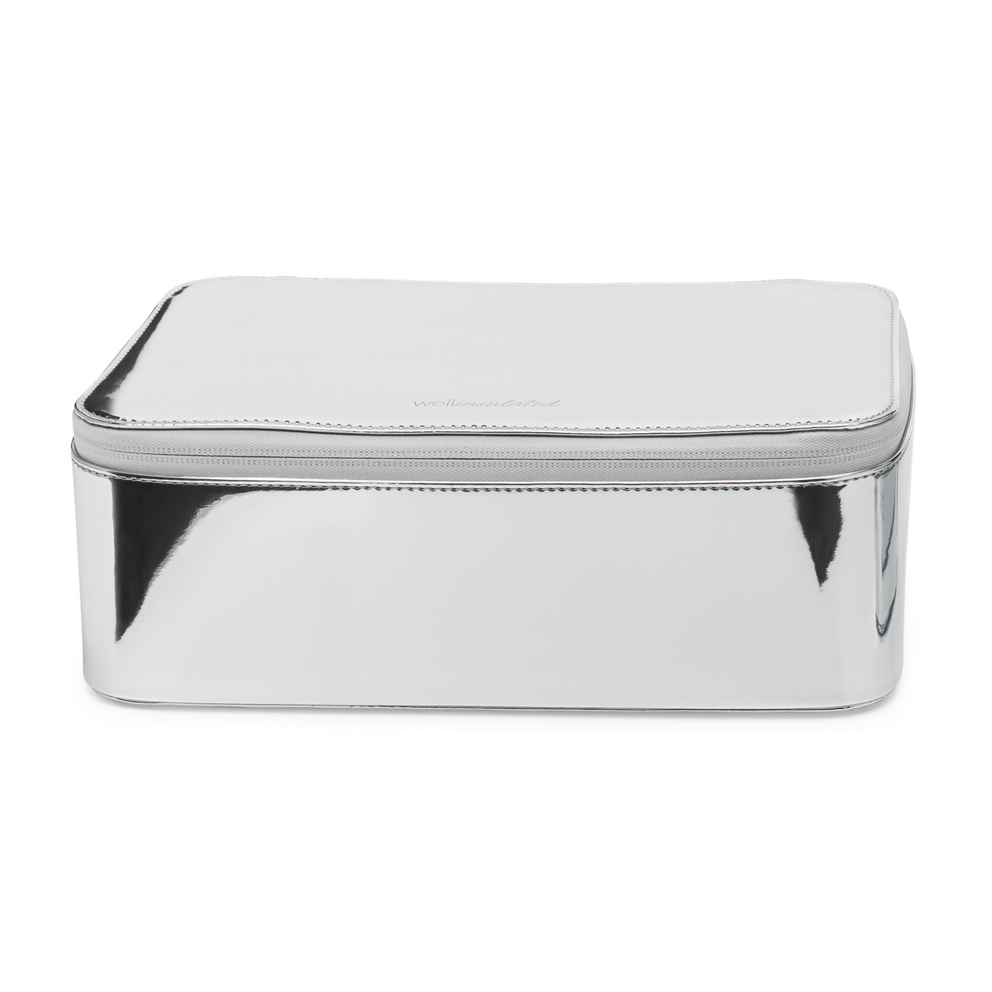 Front view of the Well Insulated Performance Travel Case. The case is metallic silver. 